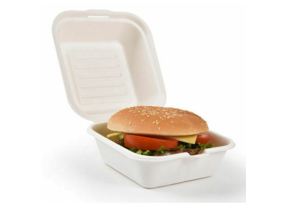 6" Square 20g 100% Compostable Biodegradable Take Out Boxes